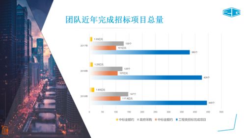 中冠咨詢 全面招標代理、政府采購與信息技術咨詢服務介紹